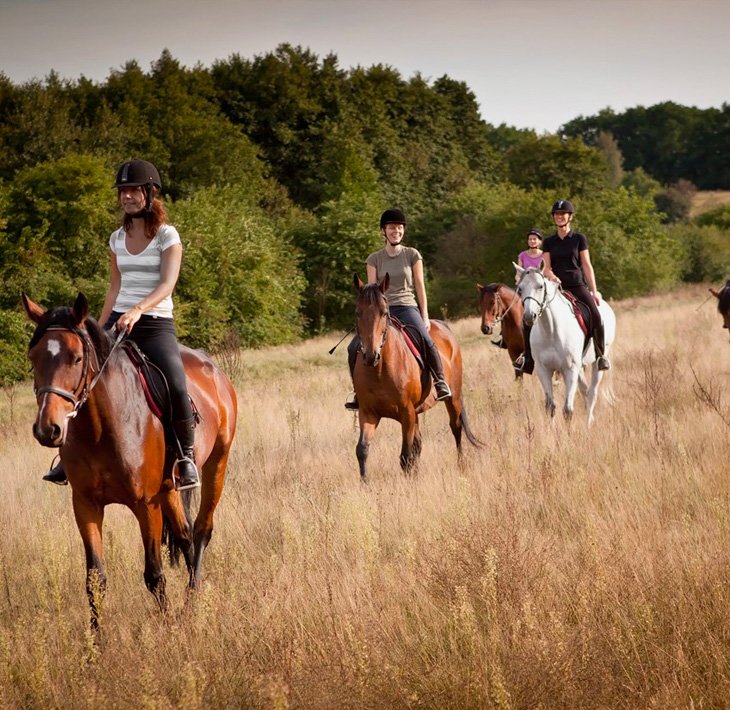 Alanya Horse Riding